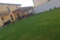 curte-6