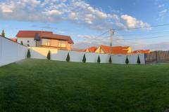 curte-7