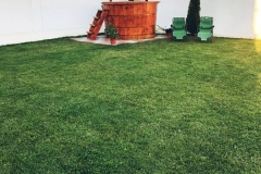 inCollage_20201024_125649338